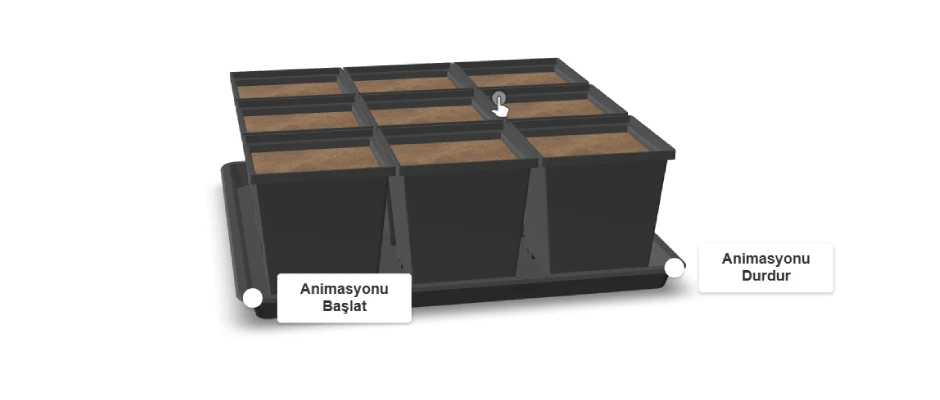 Saksı Animasyon